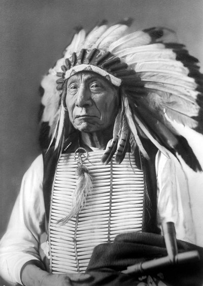 Red Cloud, Dakota Chief, wearing a headdress by David Frances Barry